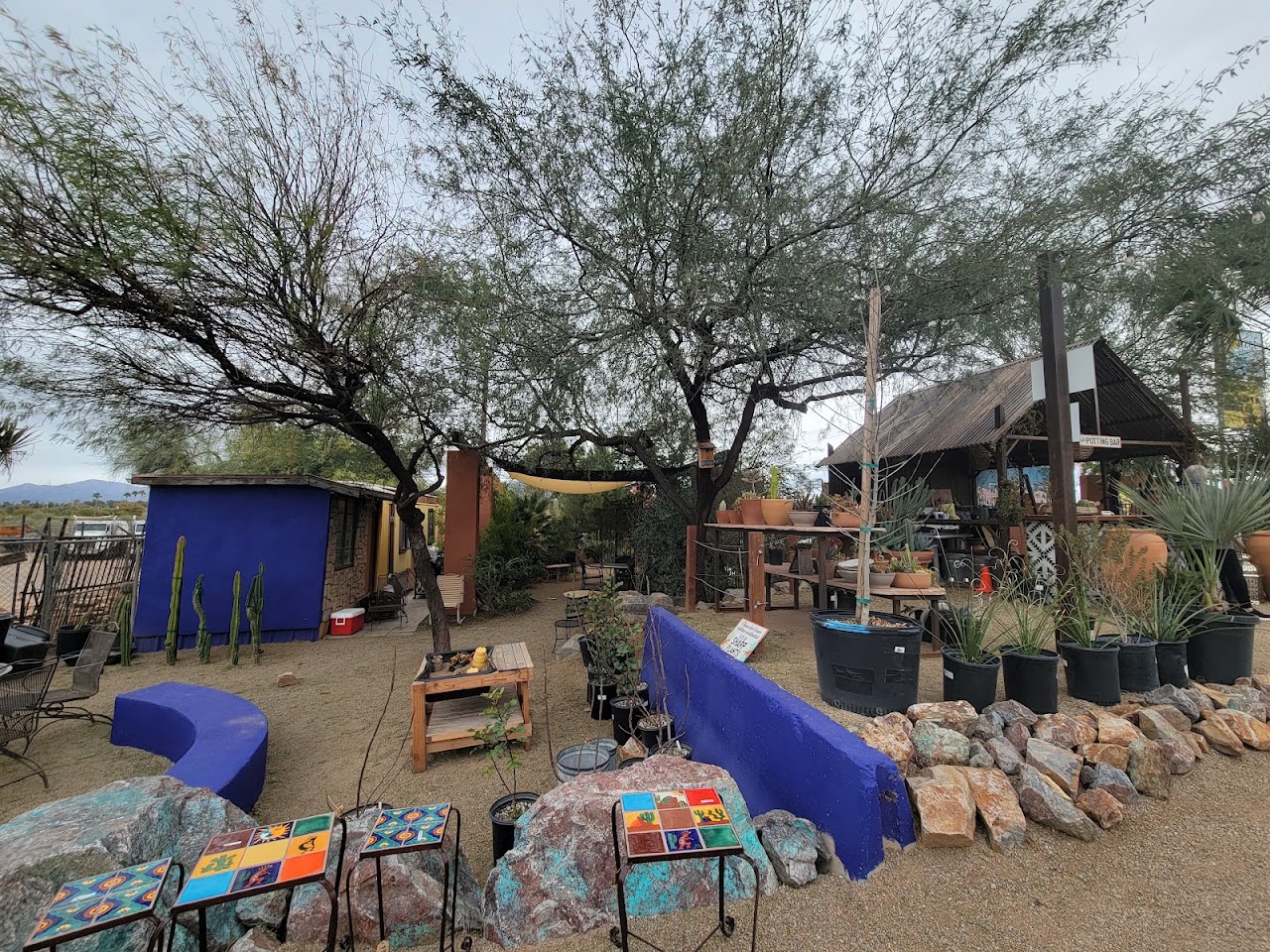Rozet Landscape Design & Rozet Nursery project