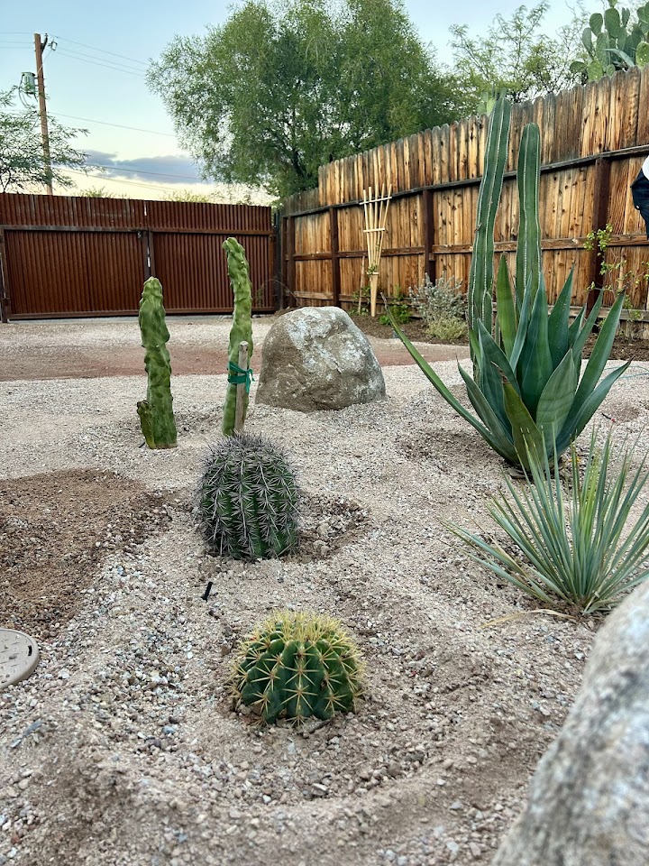 Rozet Landscape Design & Rozet Nursery project